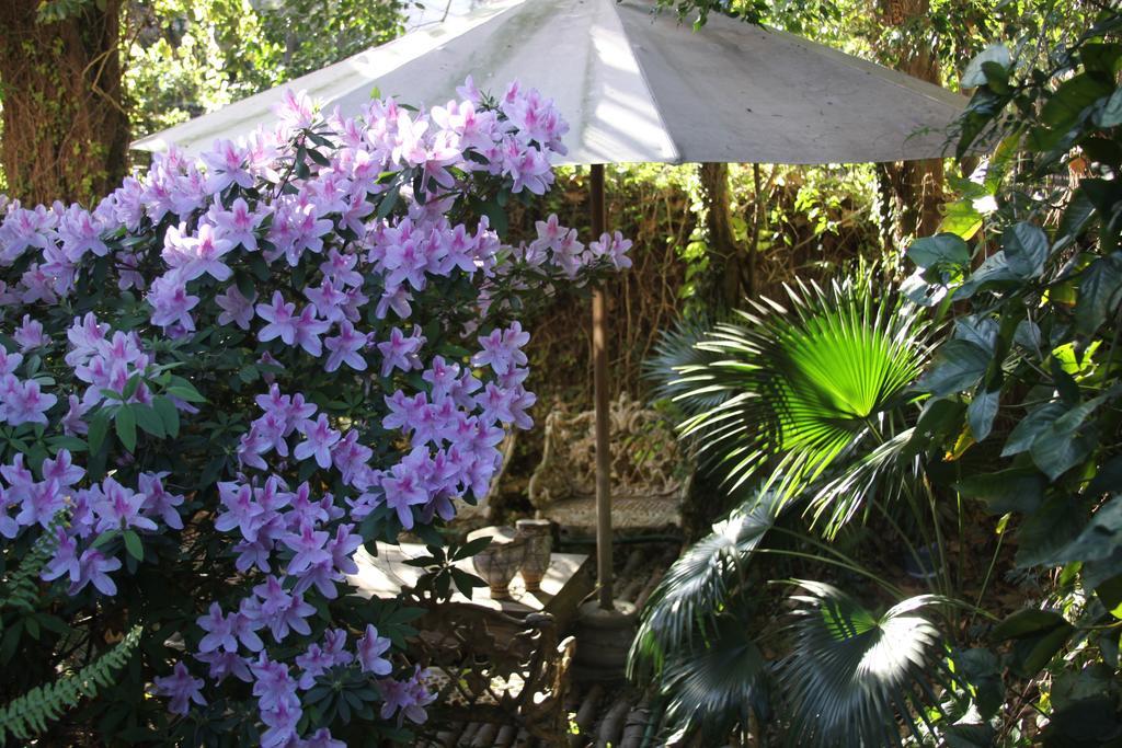 La Casona De Grace Bed & Breakfast Olivos Luaran gambar