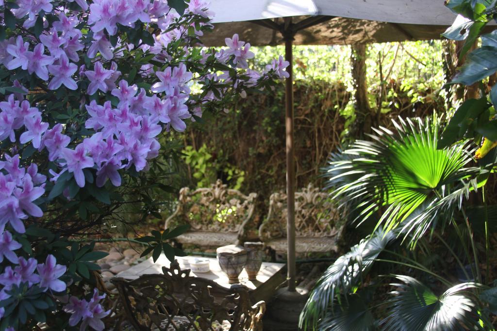 La Casona De Grace Bed & Breakfast Olivos Luaran gambar