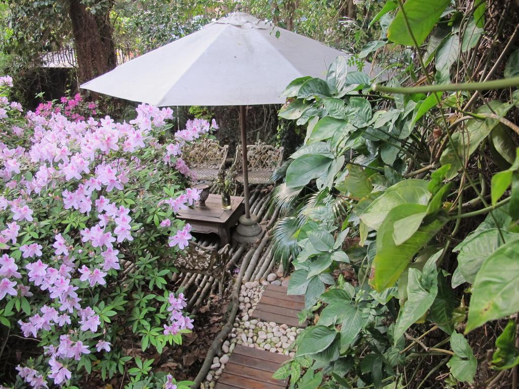 La Casona De Grace Bed & Breakfast Olivos Luaran gambar