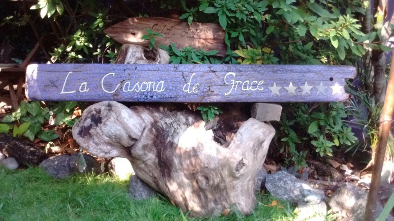 La Casona De Grace Bed & Breakfast Olivos Luaran gambar